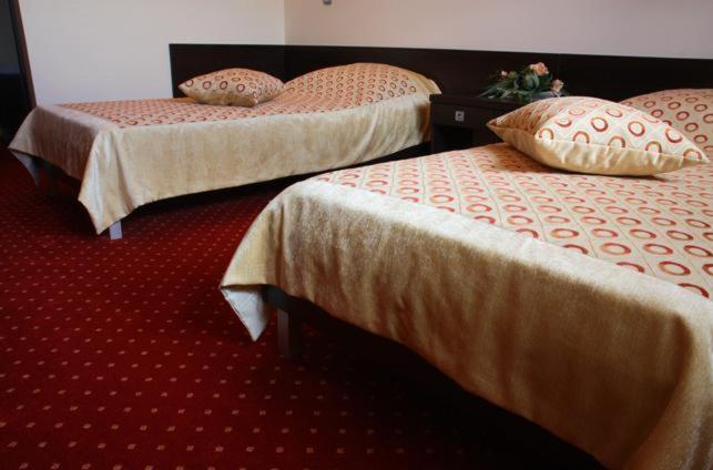Hotel Wasik Krogulcza Szoba fotó